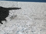 8.28.06 Mt. Adams 187 